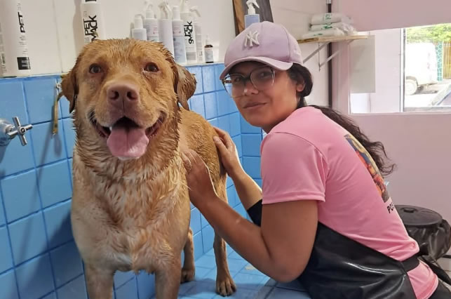 Imagem da equipe Deby Pets